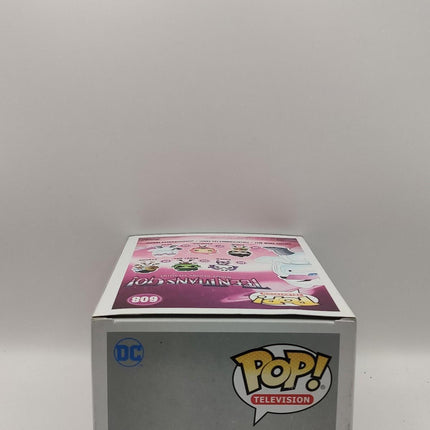 Funko Pop | #608 Bear (Flocked) | Teen Titans (The Night Begins To Shine)