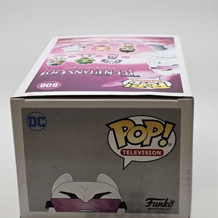 Funko Pop | #608 Bear (The Night Begins To Shine) (Flocked) | Teen Titans Go