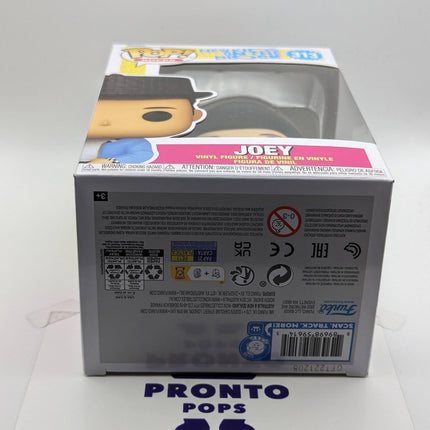Funko Pop | #313 Joey | Rocks | New Kids On The Block